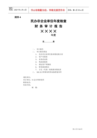 民办非企业单位年度检查财务审计报告(模板)(DOC30页)