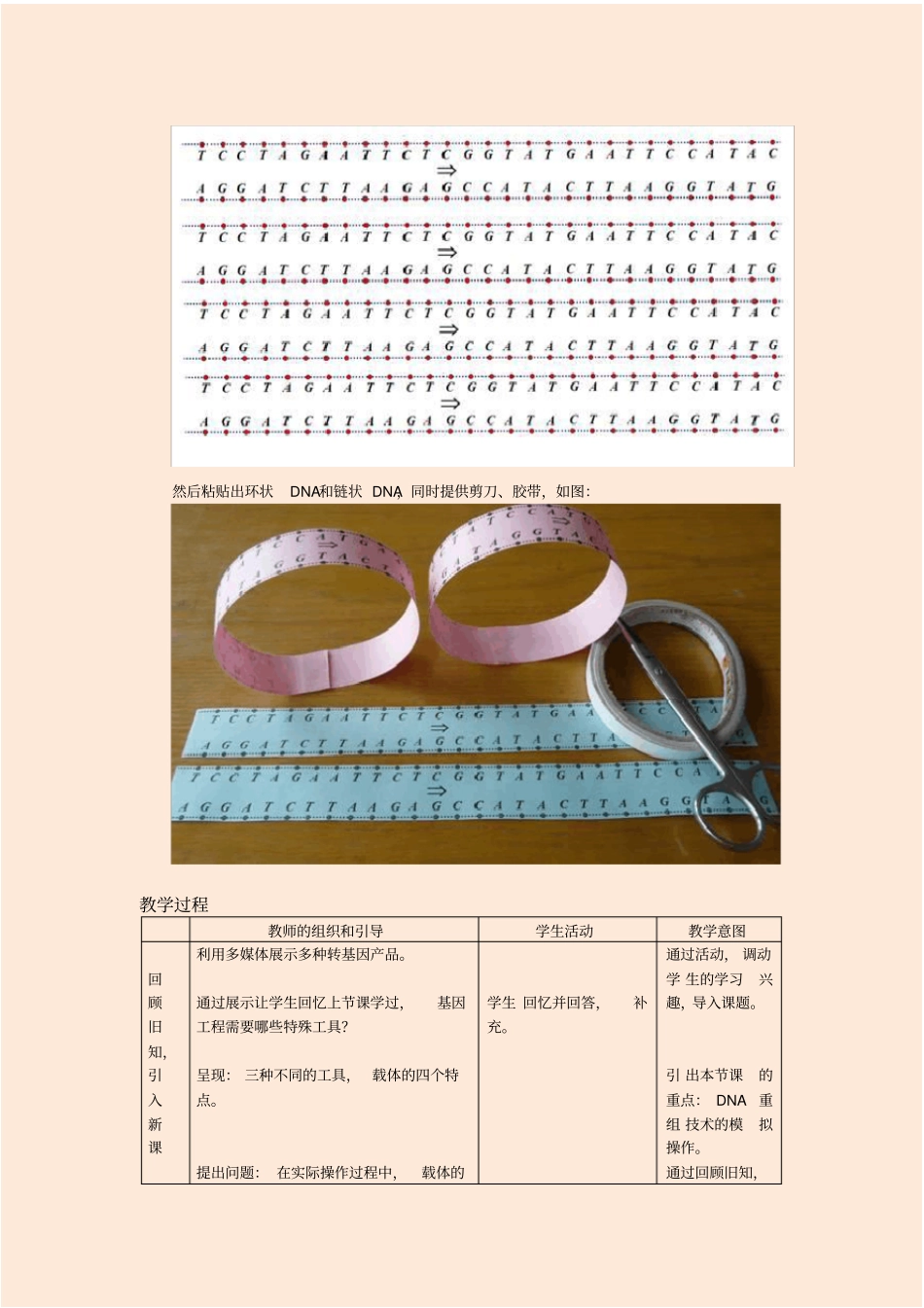 (完整版)高中生物选修3专题《基因工程：DNA重组技术基本工具》教学设计_第2页