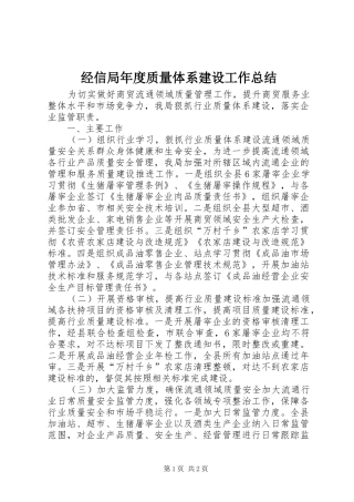 经信局年度质量体系建设工作总结