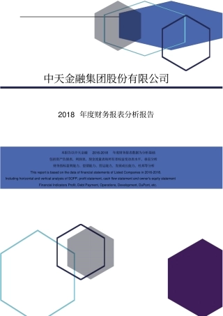 中天金融集团股份有限公司2018年度财务报表分析报告