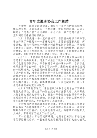 青年志愿者协会工作总结