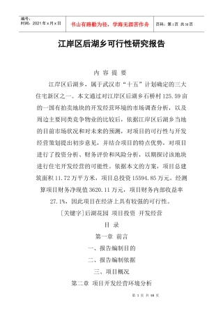 武汉某房产项目可行性研究报告