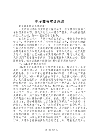 电子商务实训总结