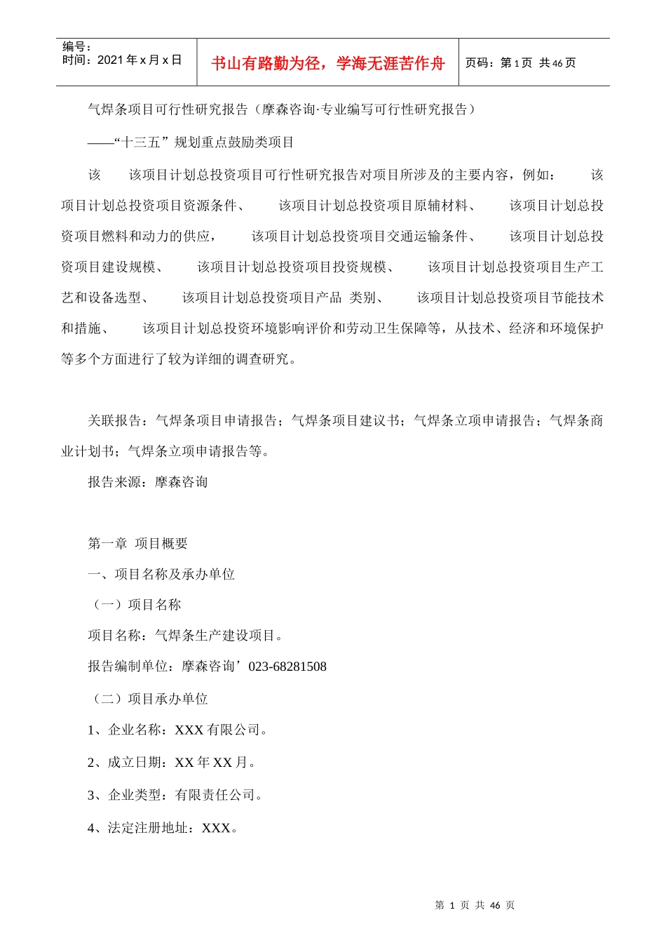 气焊条项目可行性研究报告(摩森咨询·专业编写可行性研_第1页
