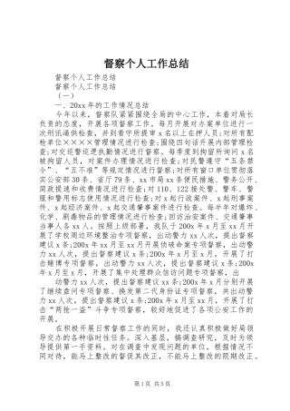 督察个人工作总结