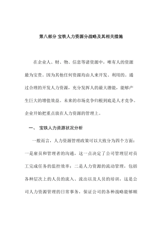 人力资源战略分析状况