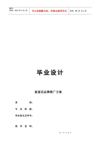 毕业设计之板蓝花品牌推广方案
