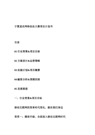 宁夏益农网络科技有限公司网络创业大赛项目计划书