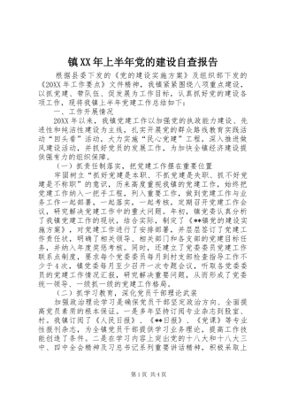 镇上半年党的建设自查报告