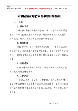 武侯区烟花爆竹安全事故应急预案