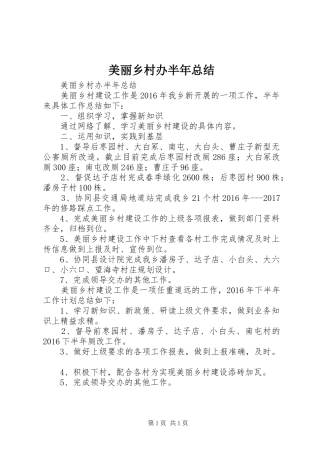 美丽乡村办半年总结