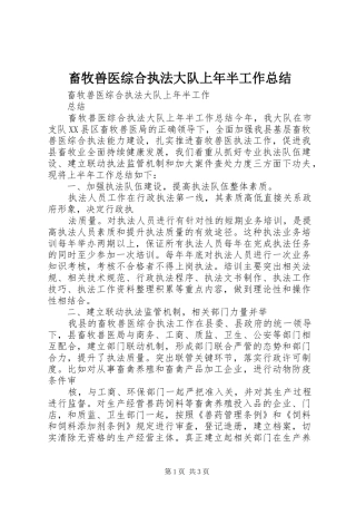 畜牧兽医综合执法大队上年半工作总结