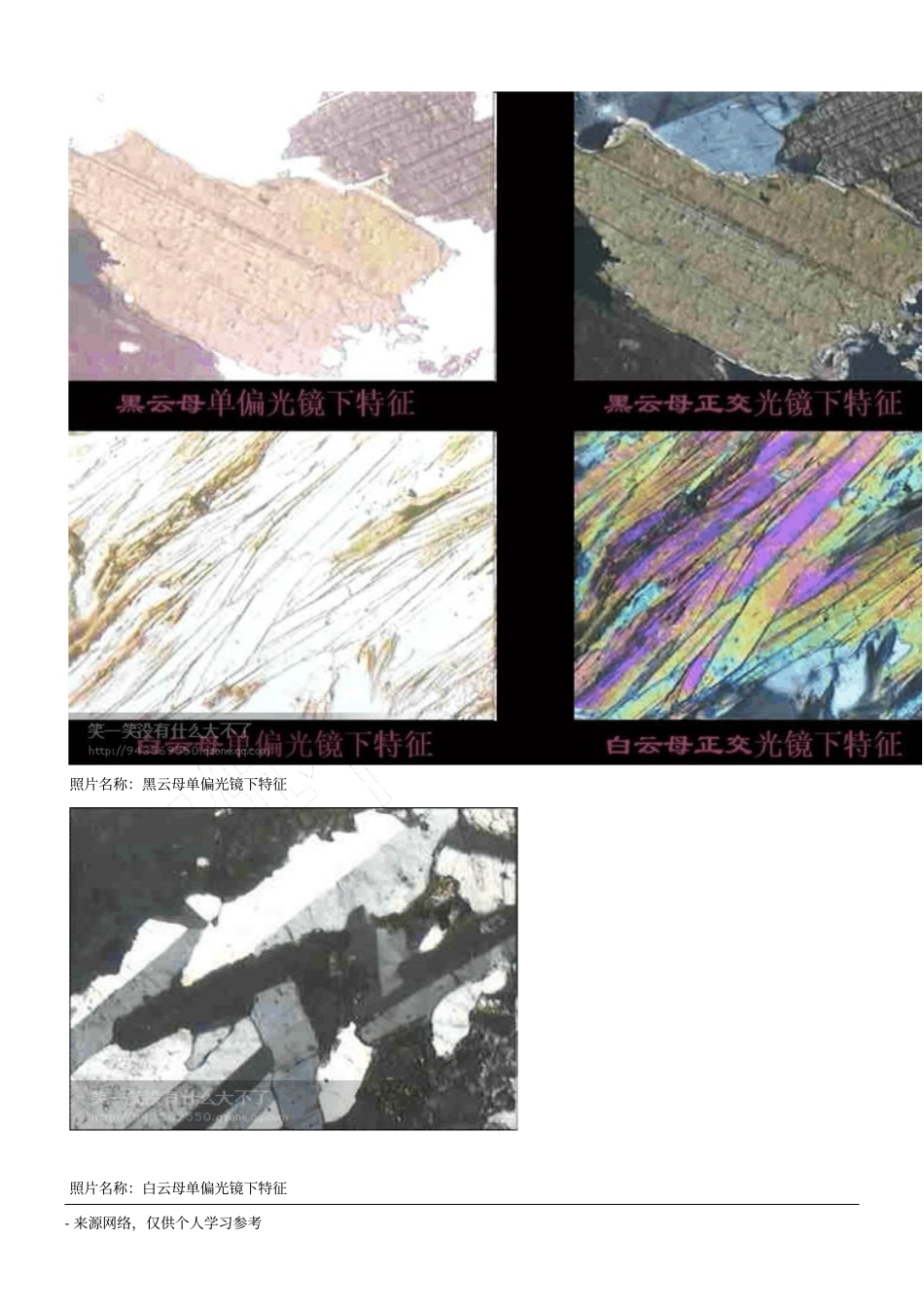 常见岩石矿物镜下特征_第3页