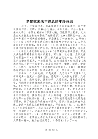 老黎家未未年终总结年终总结