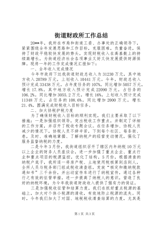 街道财政所工作总结