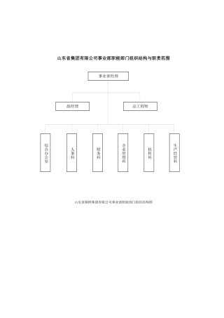 山东省XX集团有限公司事业部职能部门组织结构与职责范围)
