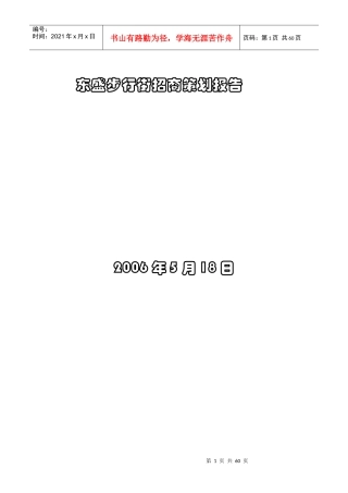 步行街招商策划报告(PPT 58页)