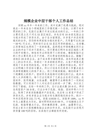 规模企业中层干部个人工作总结