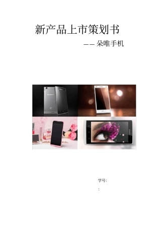 新产品上市项目策划书