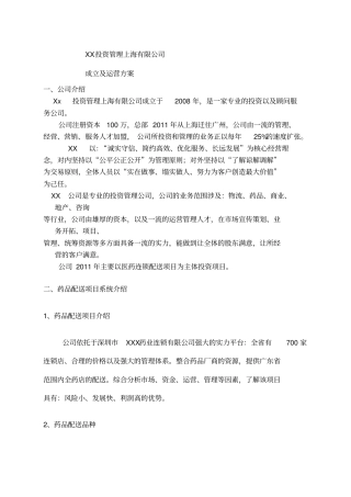新公司成立运营方案