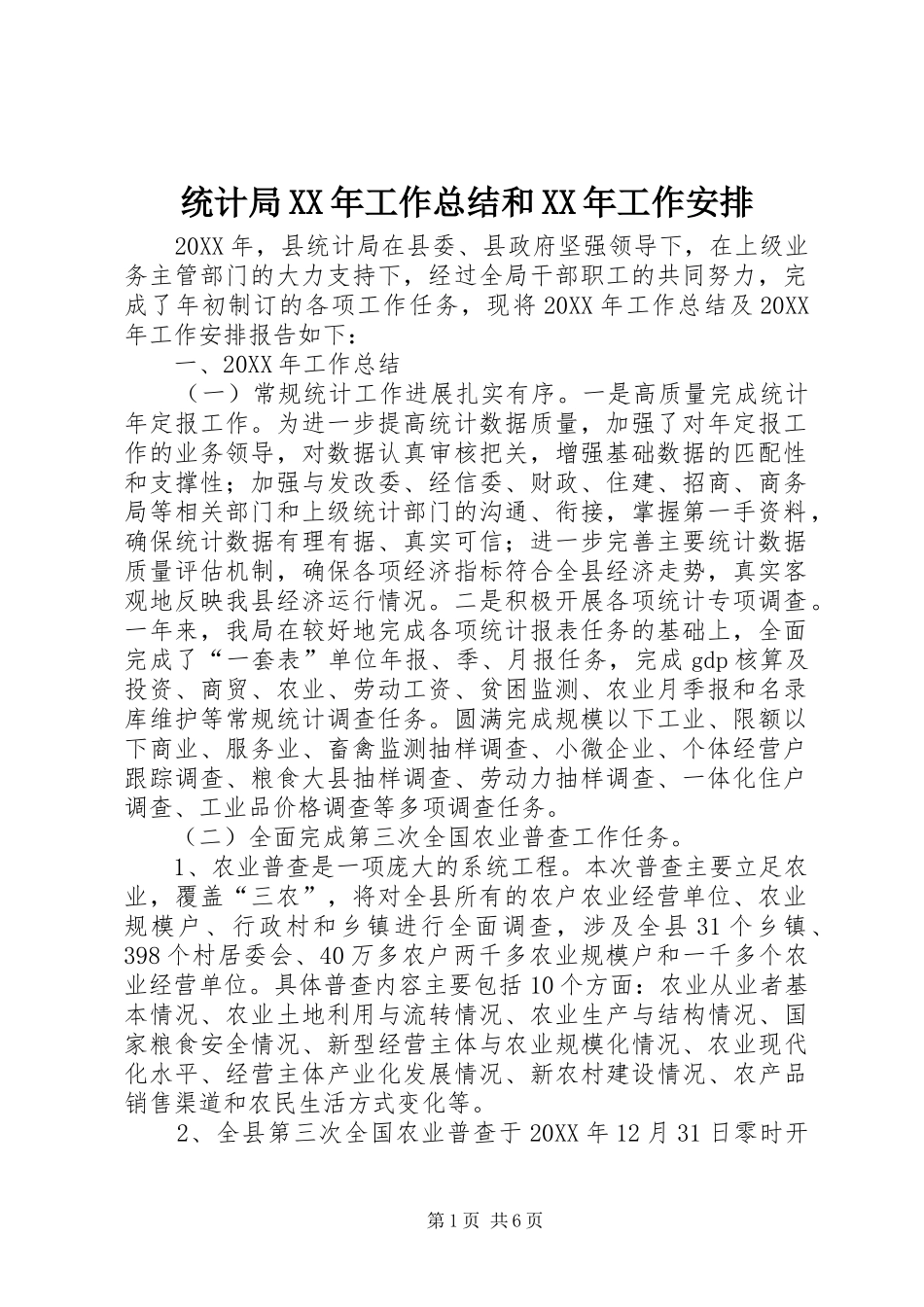 统计局工作总结和工作安排_第1页