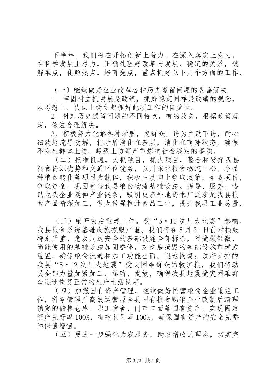 粮食局政府半年工作报告总结（县）_第3页