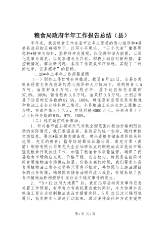 粮食局政府半年工作报告总结（县）