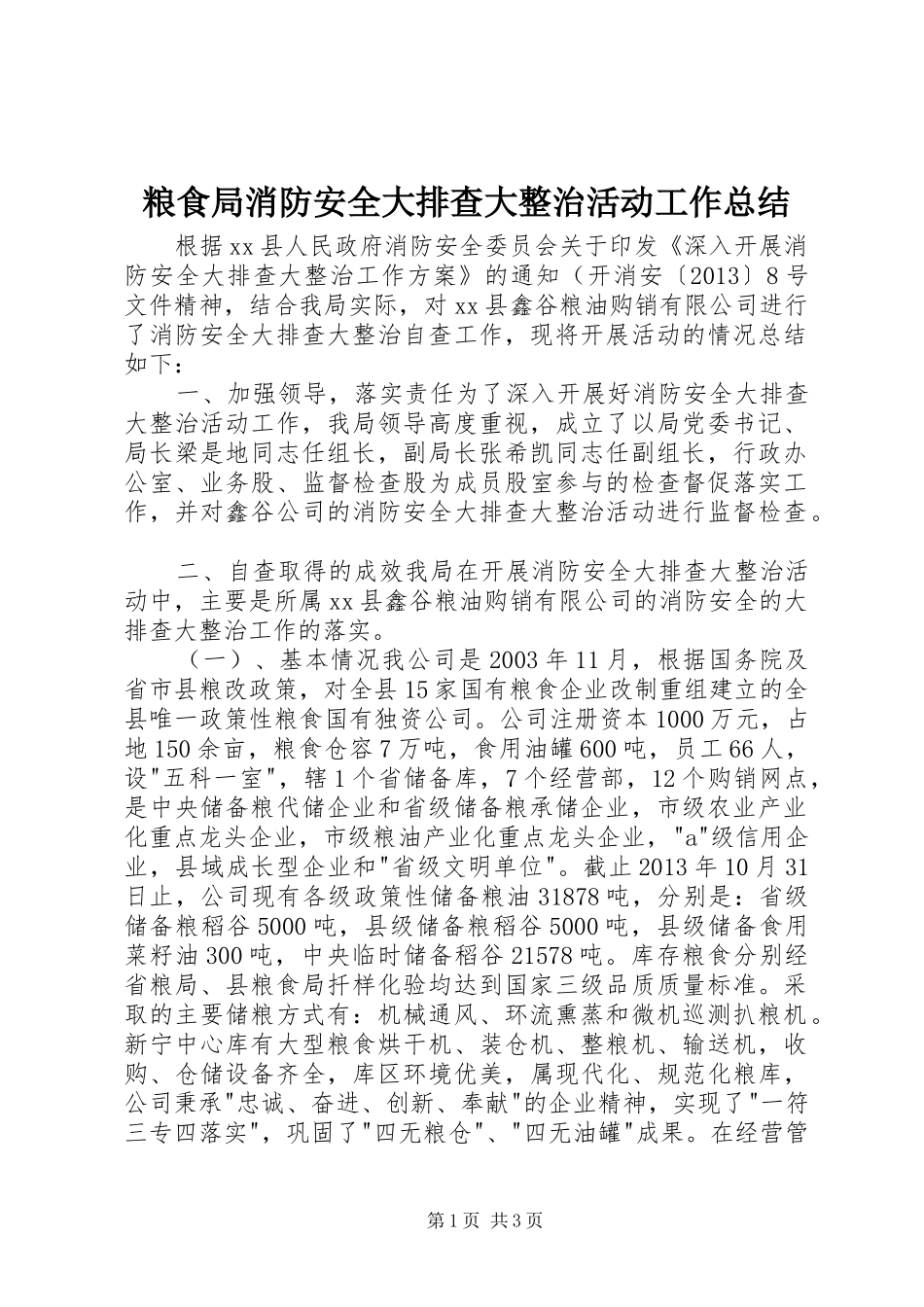 粮食局消防安全大排查大整治活动工作总结_第1页