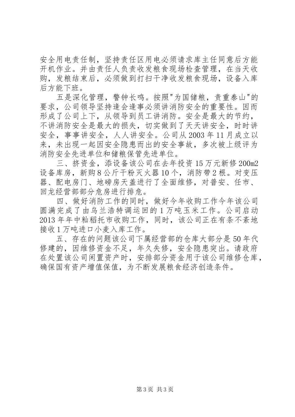 粮食局消防安全大排查大整治活动工作总结_第3页