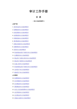 审计目标和程序工作手册