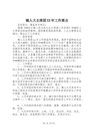 镇人大主席团工作要点