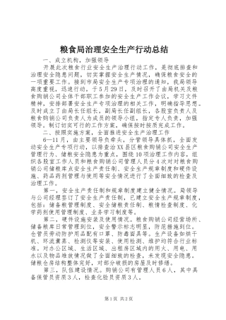 粮食局治理安全生产行动总结