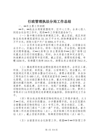行政管理执法分局工作总结