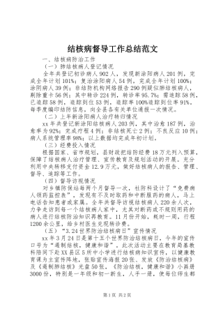 结核病督导工作总结范文