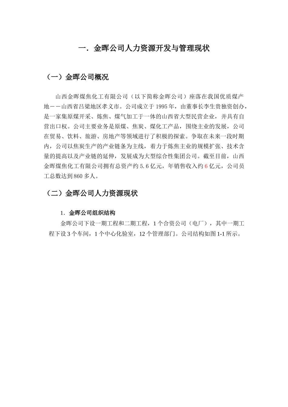 山西金晖煤焦化工—人力资源规划_第2页