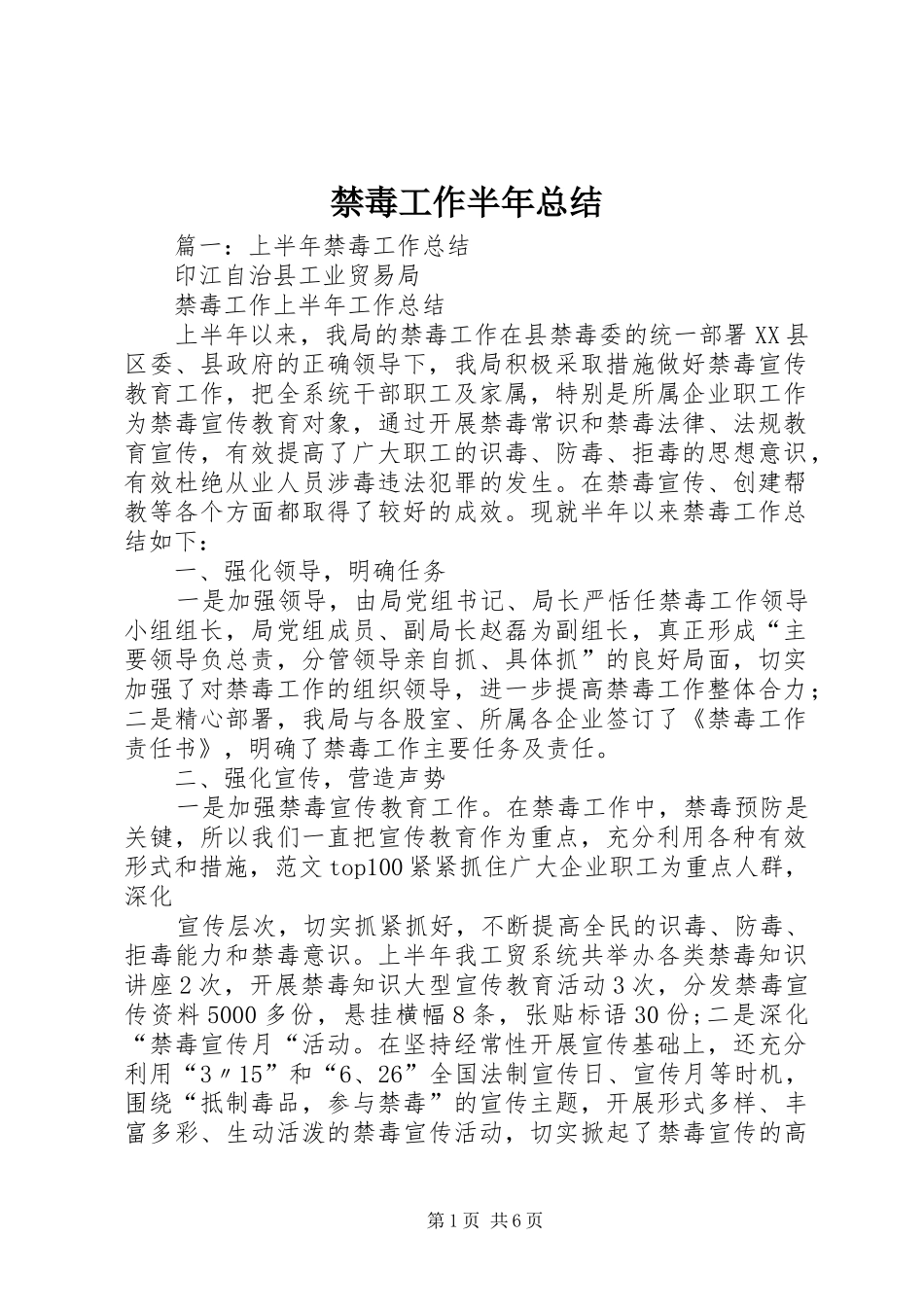 禁毒工作半年总结_第1页