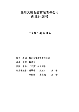 天蓝食品创业计划书(70页)