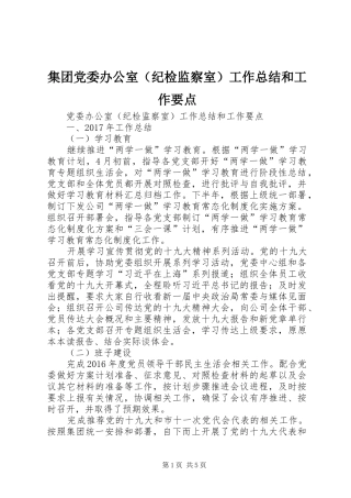 集团党委办公室（纪检监察室）工作总结和工作要点