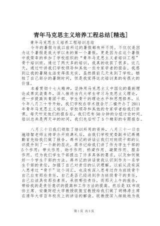 青年马克思主义培养工程总结[精选]