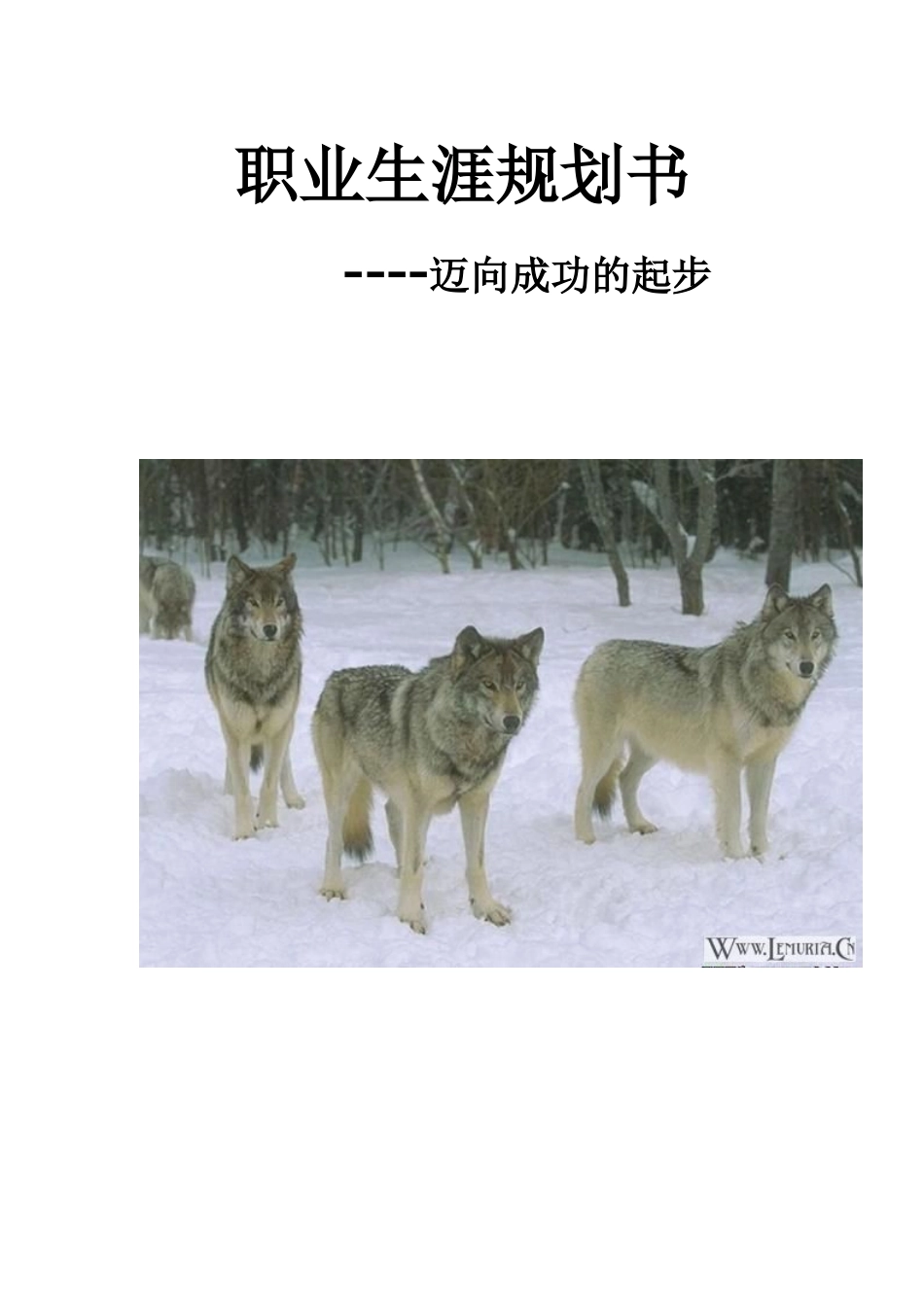 一份职业生涯规划_第1页