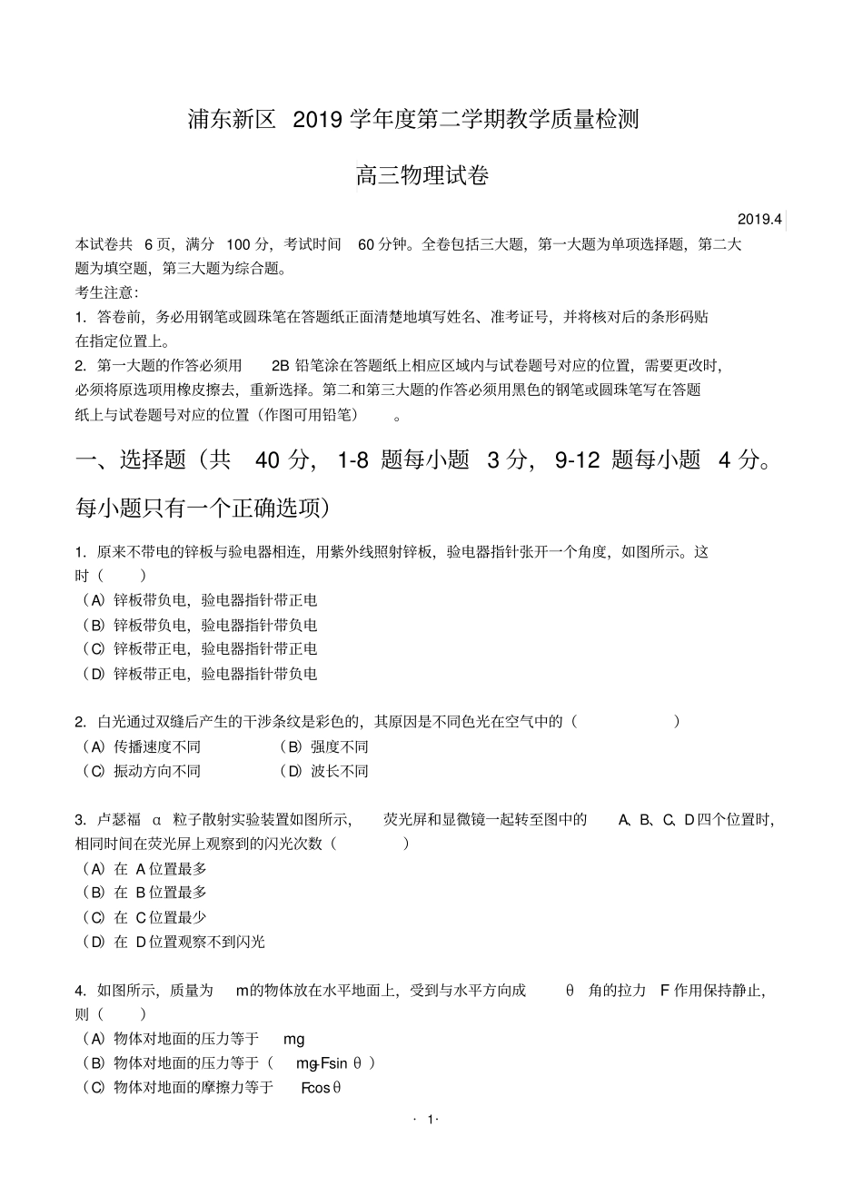 上海市浦东新区2019届高三下学期教学质量检测物理_第1页