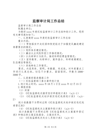 监察审计局工作总结