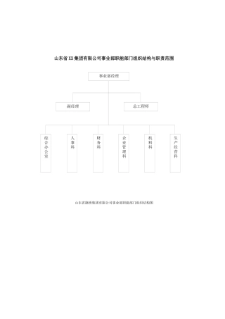山东省XX集团有限公司事业部职能部门组织结构与职责范围(8)(1)