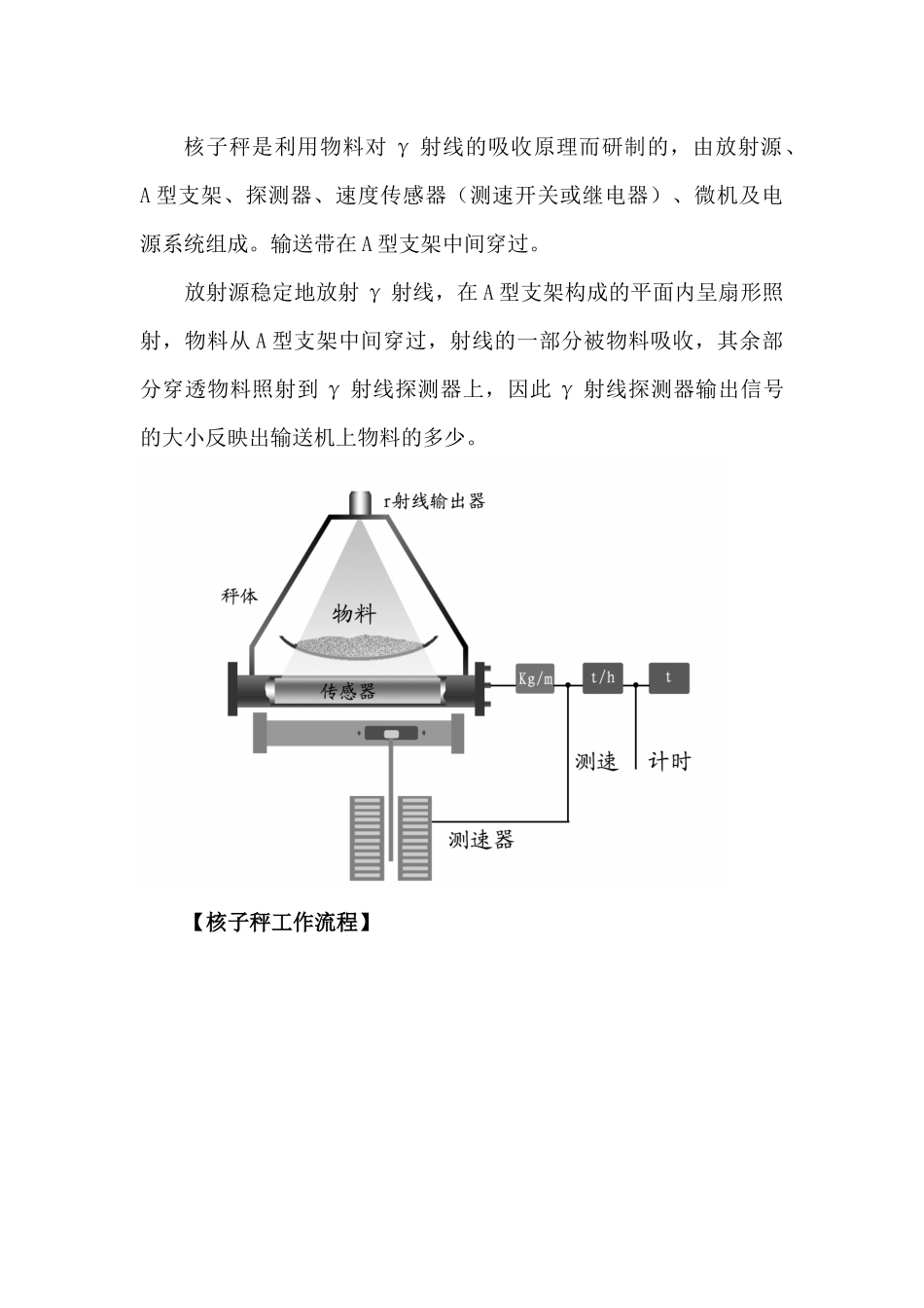 人力资源-0核子秤培训教材_第3页