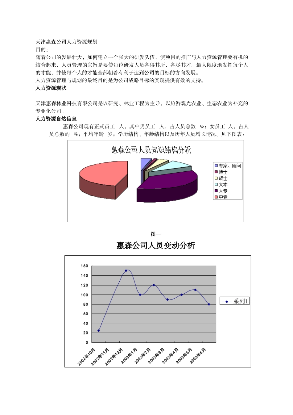 天津惠森公司人力资源规划_第1页