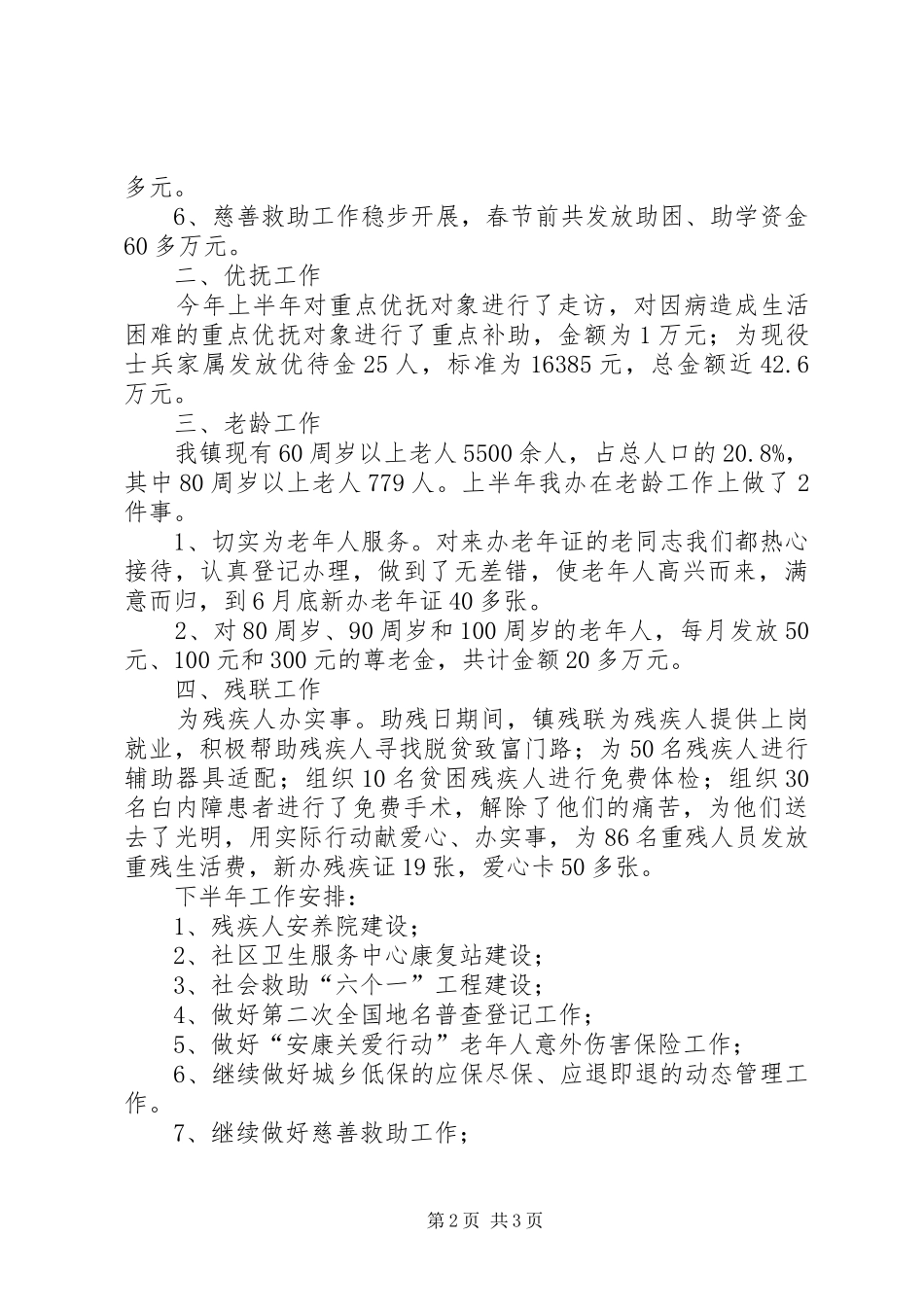 民政办上半年工作总结_第2页