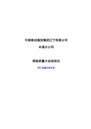 人力资源-BSC资源分析专项