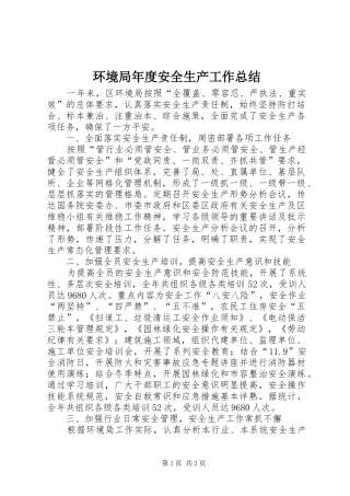 环境局年度安全生产工作总结