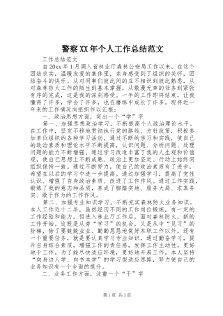 警察XX年个人工作总结范文