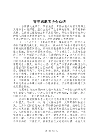青年志愿者协会总结